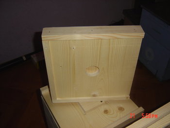 rsz_dsc03884.jpg