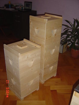 rsz_dsc03881.jpg