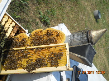 DSCN1084.JPG