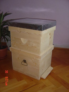 rsz_dsc03865.jpg
