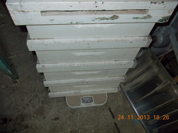 rsz_1picture_006.jpg