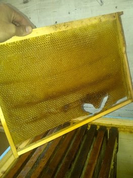 rsz_img-20131124-01801.jpg
