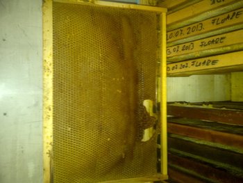 rsz_img-20131124-01800.jpg