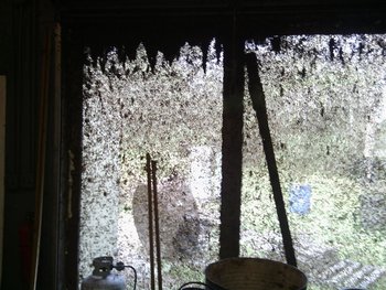 IMG_20131107_155612 (Medium).jpg