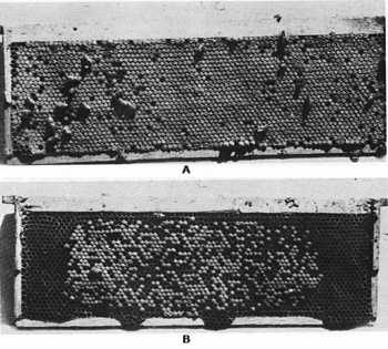 fig41.gif