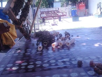 IMG10121 (Custom).jpg