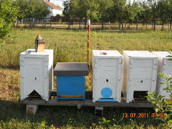 DSCN1088.JPG