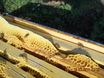 DSCN1094.JPG