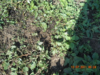 DSCN1098.JPG