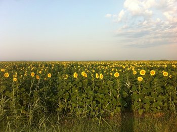 IMG_0827.JPG