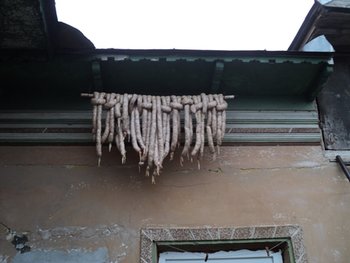 DSC05342.JPG