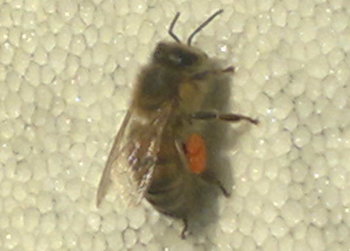 2013-12-16-334_1.jpg