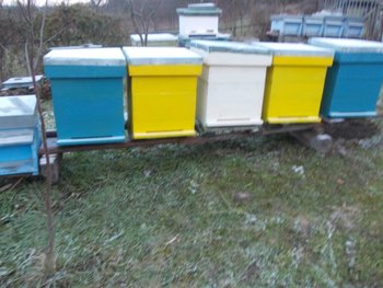 2013 decembie 032.JPG