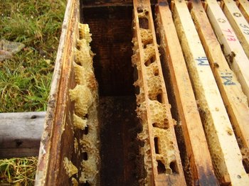 P2260436.JPG