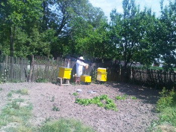 IMG00271-20110522-1140.jpg
