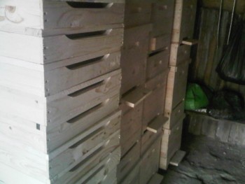 IMG00309-20110702-1759.jpg