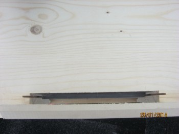 grafic5.jpg