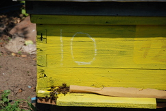DSC_3504.jpg