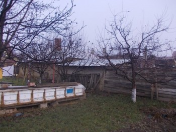 DSCN2298.jpg