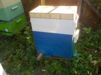 28072013284.jpg