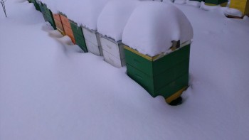 IMAG06381.JPG