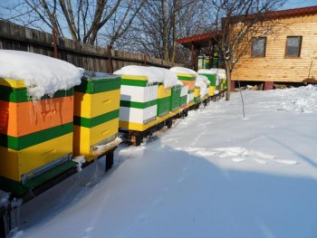 0iarna 2011.JPG