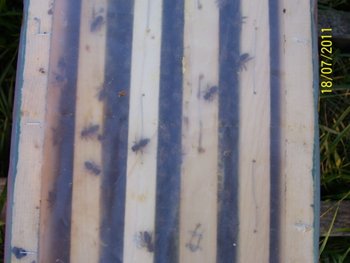 100_6459.jpg