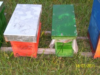100_6458.jpg