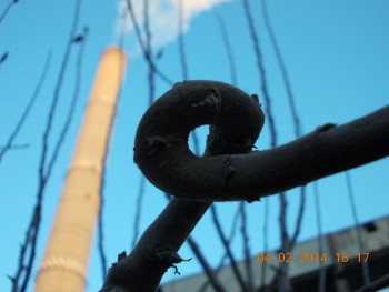 rsz_1picture_004.jpg