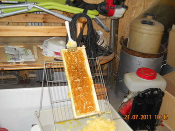 DSCN1124.JPG