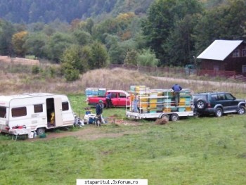 ok_125009.jpg