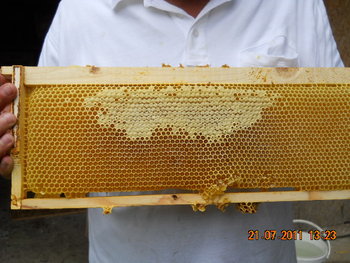 DSCN1129.JPG