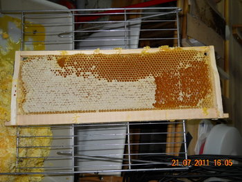 DSCN1132.JPG