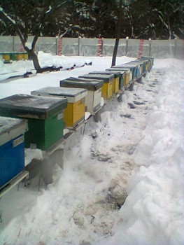 Fotogr.0040.jpg