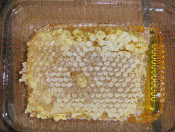 2011_0722Image0048.JPG