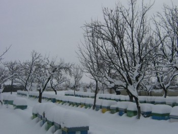 poze vechi 005b.jpg