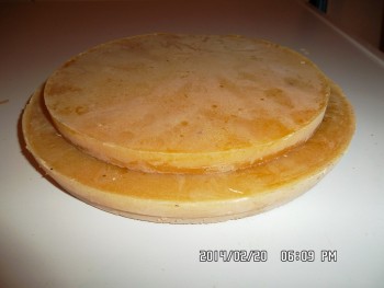 SAM_1522 (Copy).JPG