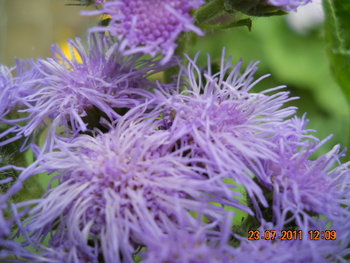 DSCN1217.JPG