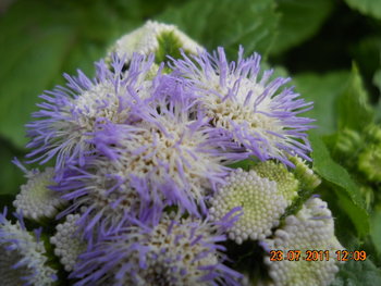 DSCN1218.JPG