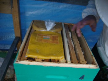 dsc00614.jpg