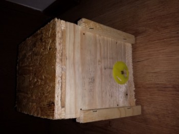 20140226_201013.jpg