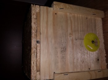 20140226_201019.jpg
