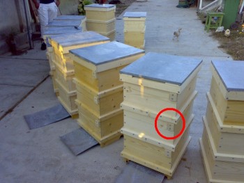 48441048.jpg