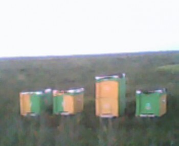 IMG0057A.jpg