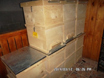 SAM_1526 (Copy).JPG