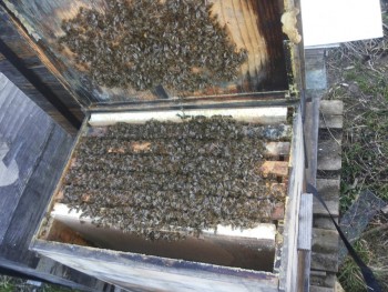 rsz_20140309_173403.jpg
