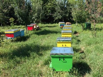 DSCF1492 (Small).JPG