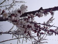 DSCF6265.JPG