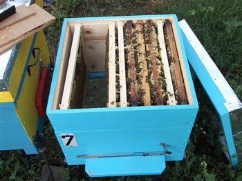 DSCF1472 (Small).JPG