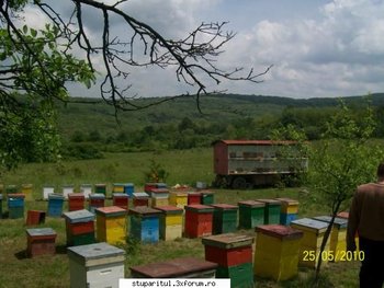 ok_115749.jpg